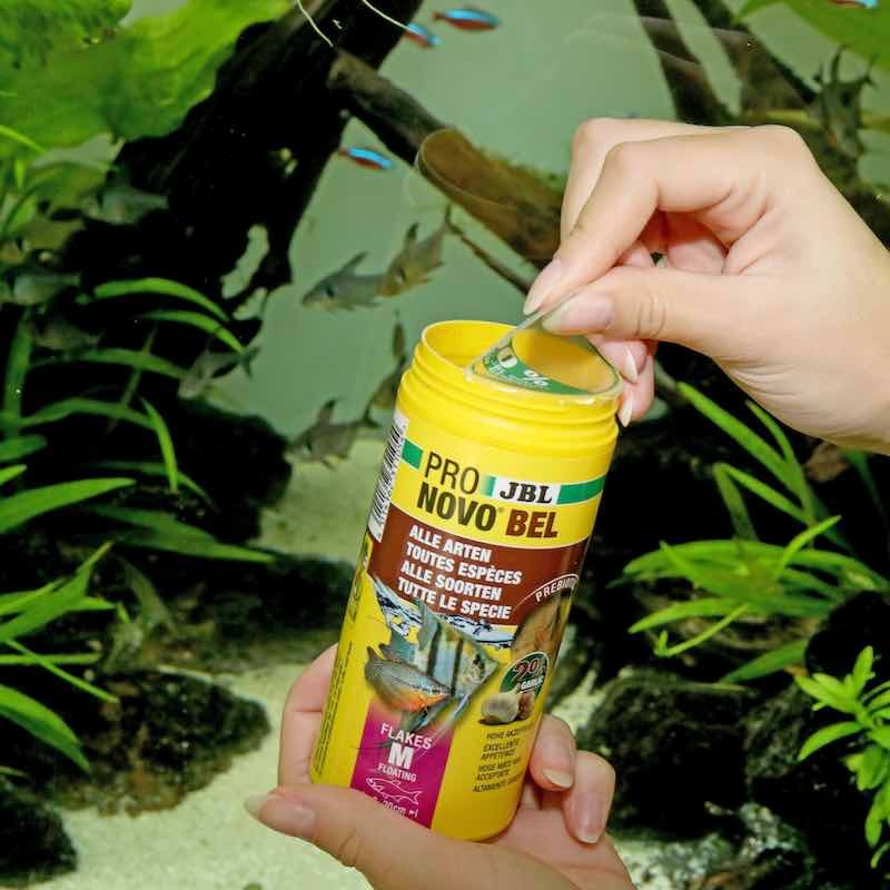 Jbl Pronovo Bel Flakes M Nourriture Pour Poisson En Aquarium