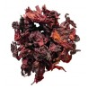 Fleurs d'Hibiscus 50 g