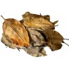 Feuilles de Mangrove 20 g