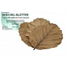 Feuilles de Bedi del pour aquarium