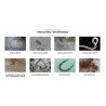 Parasites des poissons d'aquarium