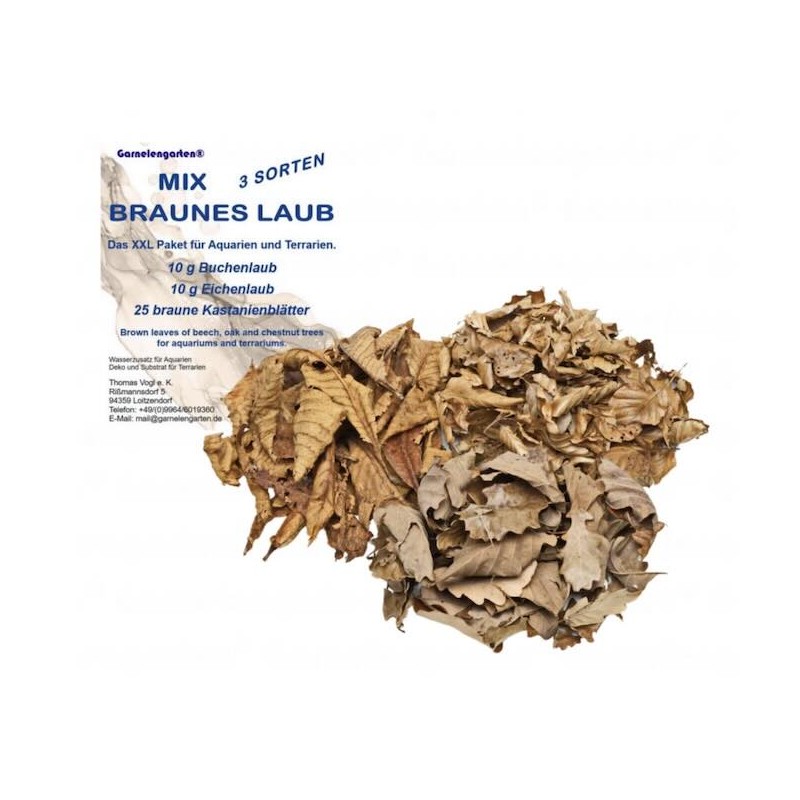 Litière de Feuilles locale pour aquarium Litière de Feuilles locale pour aquarium