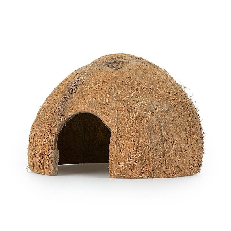 Noix de COCO aquarium Noix de COCO aquarium