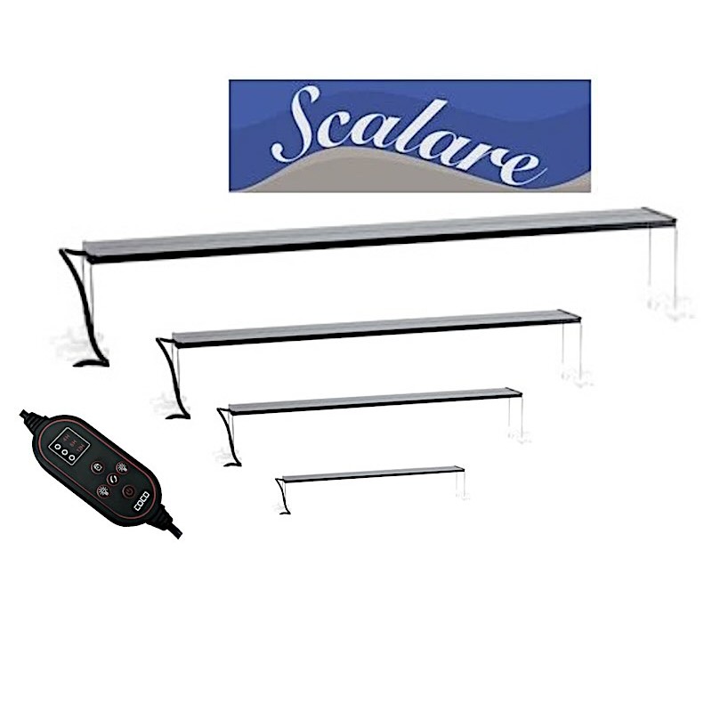 Rampe WRGB Scalare 17 Rampe WRGB Scalare 17