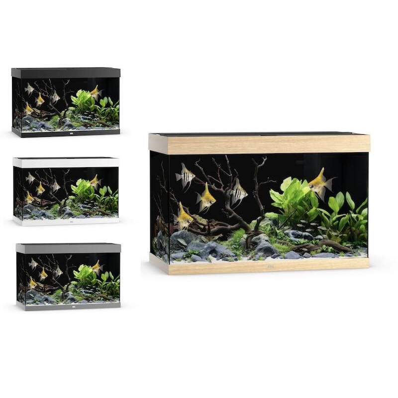 Aquarium Juwel Rio 290 Led Aquarium Juwel Rio 290 Led
