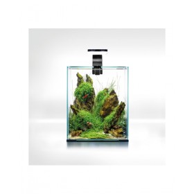 AQUARIUM SHRIMPSET 19 l