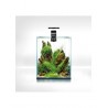 AQUARIUM SHRIMPSET 19 l