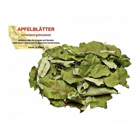 Feuilles de pommier
