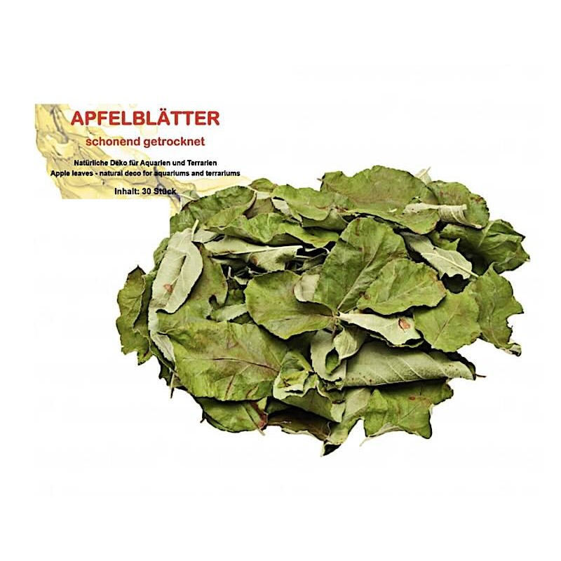 Feuilles de pommier