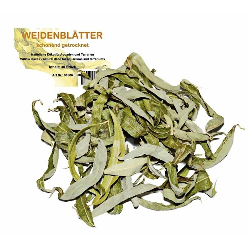 Feuilles de saule Feuilles de saule