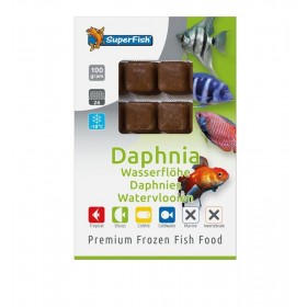 Daphnie congelé 100G