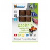 Daphnie congelé 100G