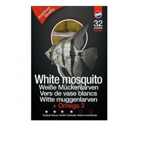 Vers de vase blanc 100 g DS