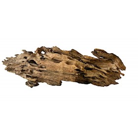 Racine Shrimp wood M
