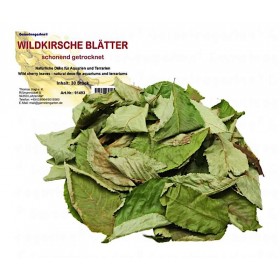 Feuilles de cerisier sauvage
