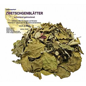 Feuilles de prunier pour aquarium