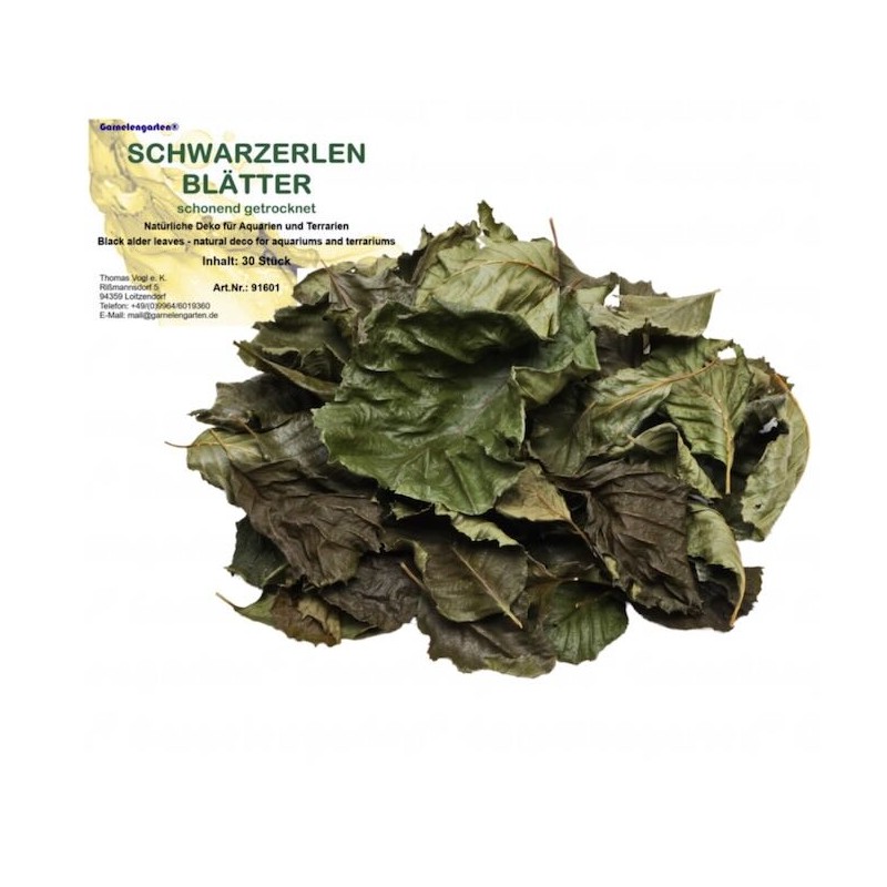 Feuilles d'aulne noire pour aquarium Feuilles d'aulne noire pour aquarium
