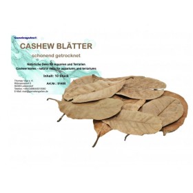 Feuilles de cajou pour aquarium
