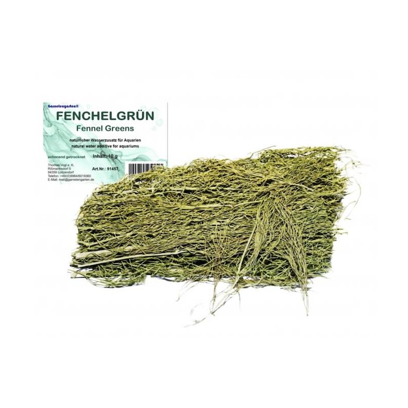 Feuilles de Fenouil 10 g pour aquarium Feuilles de Fenouil 10 g pour aquarium