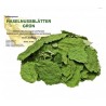 Feuilles de noisetier pour aquarium