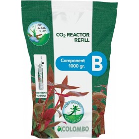 Recharge B REACTOR CO2 Colombo