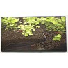 Abri sous gravier fish Shelter
