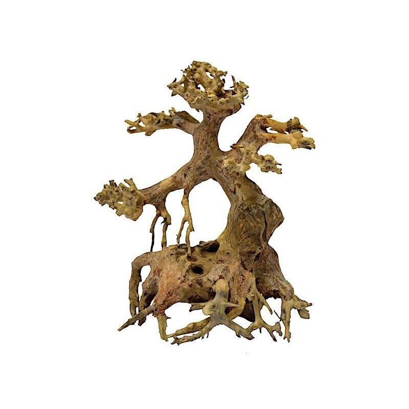 Bonsaï Driftwood XS pour aquarium Bonsaï Driftwood XS pour aquarium