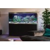 Ambiance Aquarium OASE HighLine 600 noir