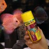 Nourriture pour Discus en aquarium