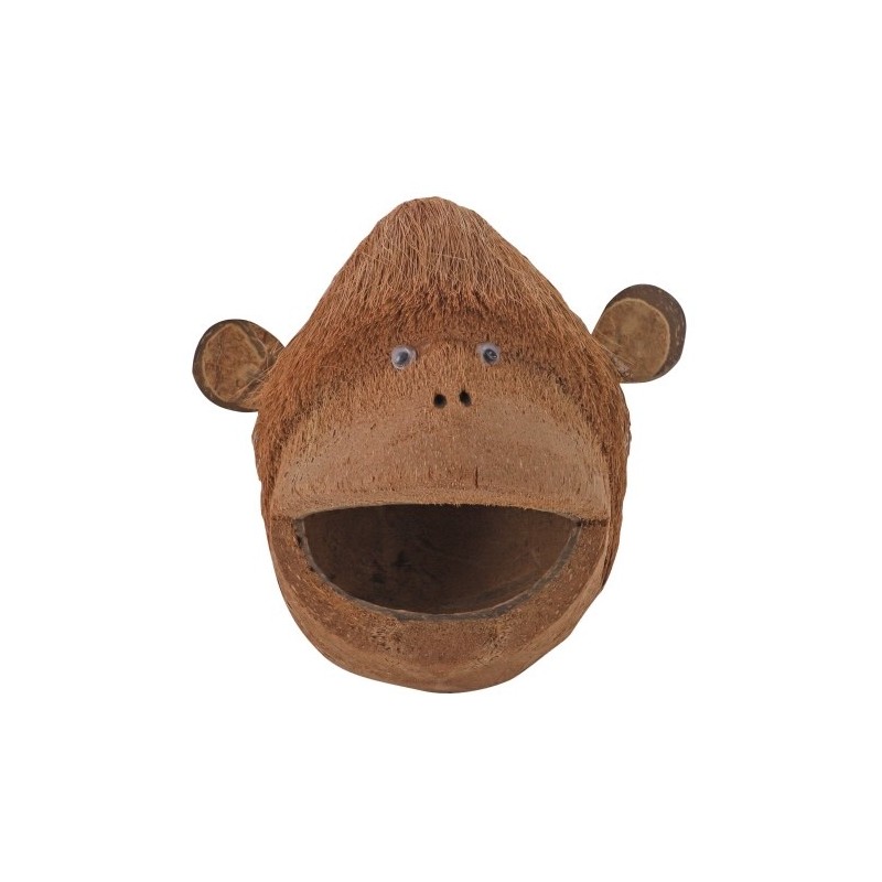 Coco monkey