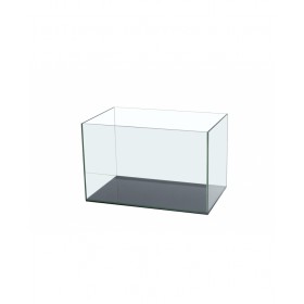 Cuve nue aquarium Scalare