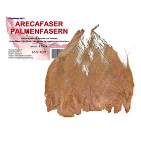 Fibre de palmier d'arec