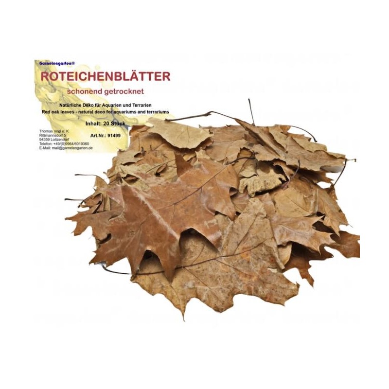 Feuilles de chêne rouge pour aquarium