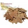 Feuilles de chêne rouge pour aquarium