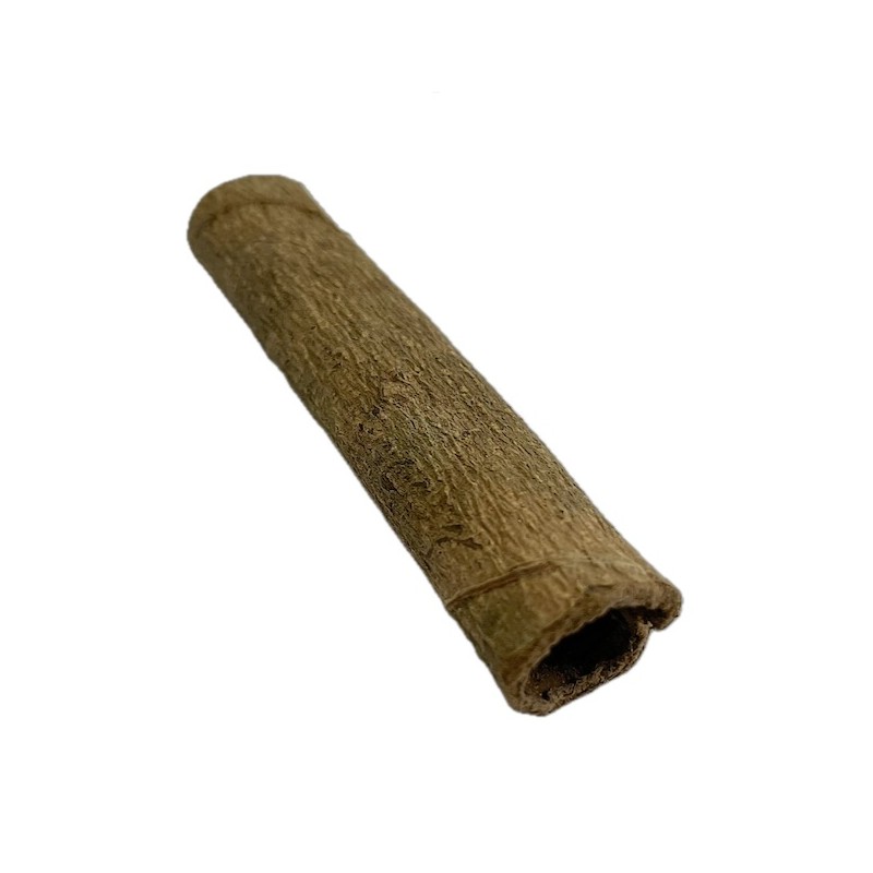Écorce de catappa indienne