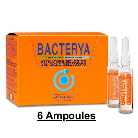 BACTERYA 5ml 6 ampoules EQUO