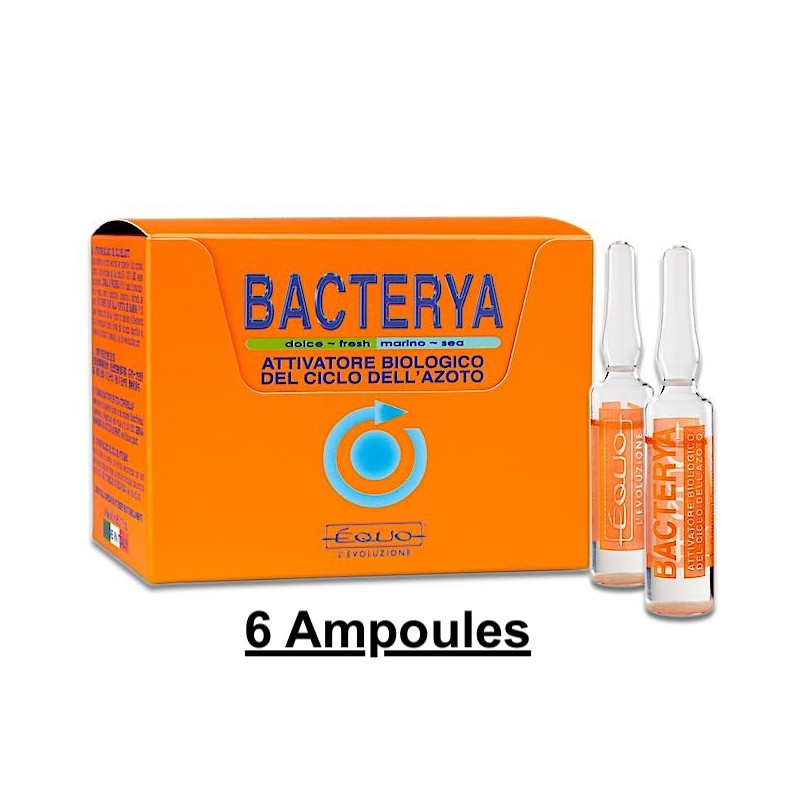 BACTERYA 5ml 6 ampoules EQUO