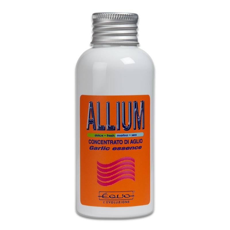 ALLIUM EQUO pour aquarium