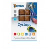 Cyclopes congelés SF 100G