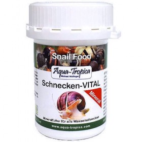 Schnecken-VITAL Mineral (nourriture escargot)