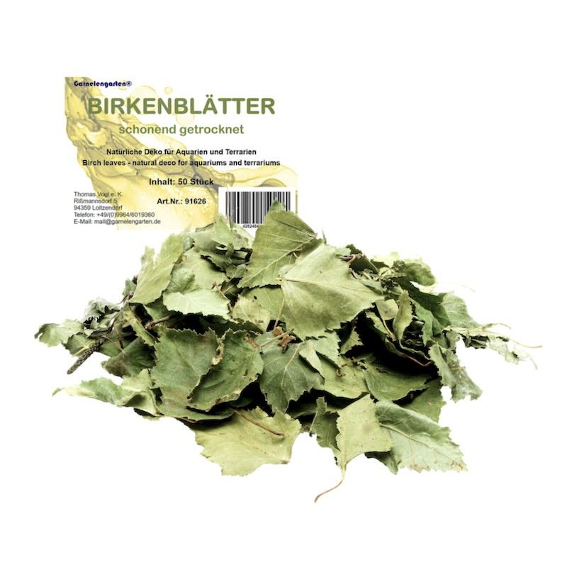 Feuilles de bouleau pour aquarium