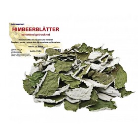 Feuilles de framboisier d'aquarium