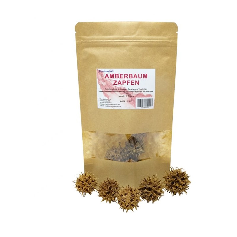 Fruit de Liquidambar