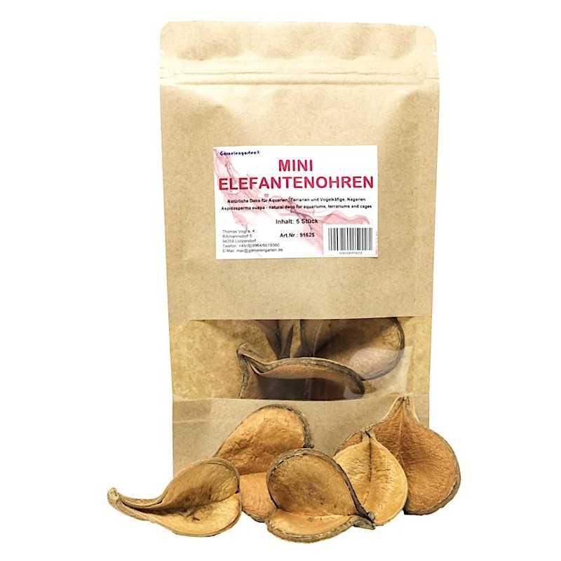 Gousse oreille d'elephant