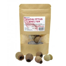 Abri en eucalyptus aquarium