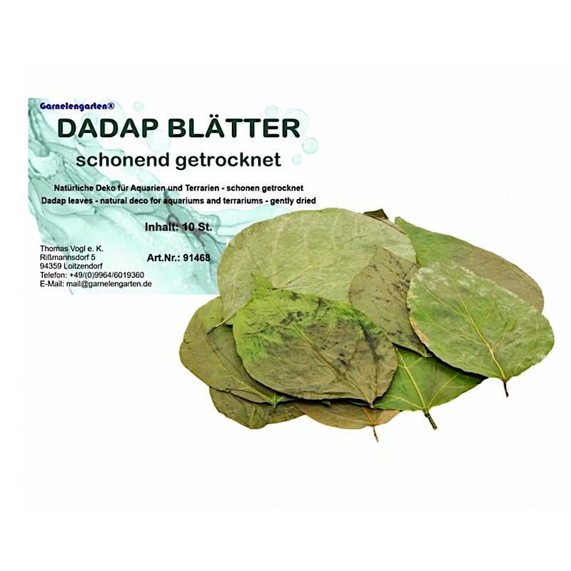 Feuilles de Dadap pour crevettes d'aquarium