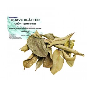 Feuilles de Goyave roulées pour aquarium
