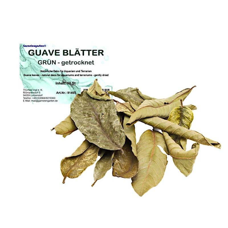 Feuilles de Goyave roulées pour aquarium