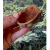 Gousse de Xixa pour aquarium