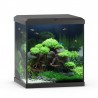 Aquarium Juwel Vio Cube 54 Noir